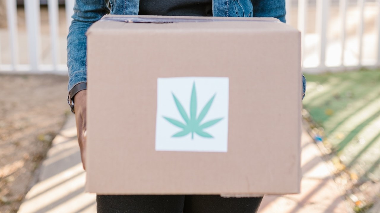A delivery person holds a box marked with a marijuana leaf.